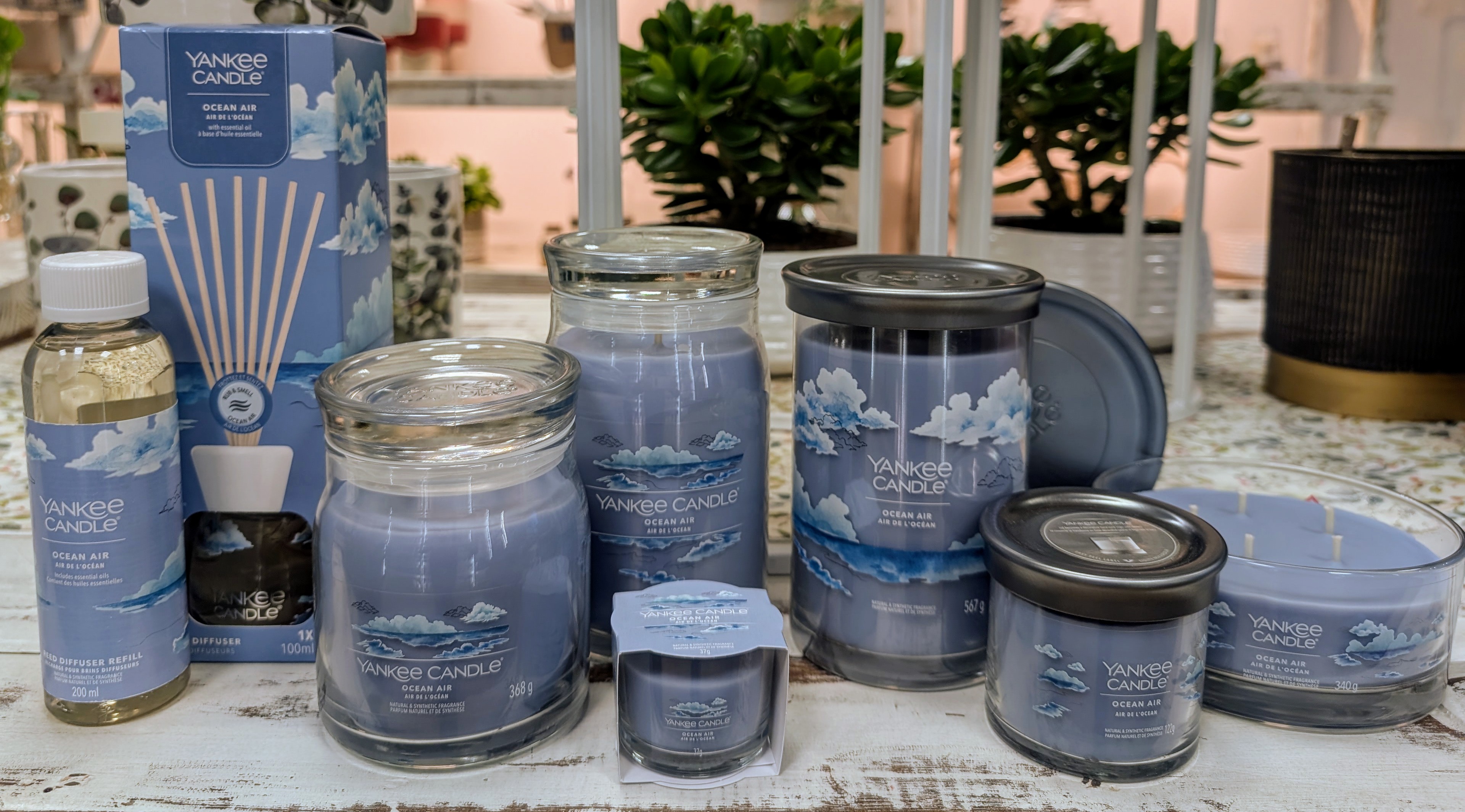 Candele profumate Yankee Candle - Fragranze e accessori